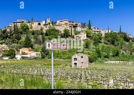 Tipico vigneto con strada del vino (Route Touristique des Cotes du Rhone) vicino a Faucon, Cotes du Rhone, Francia Foto Stock