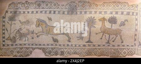 Mosaico di Saridere, Museo del mosaico di Zeugma, Gaziantep, Turchia Foto Stock
