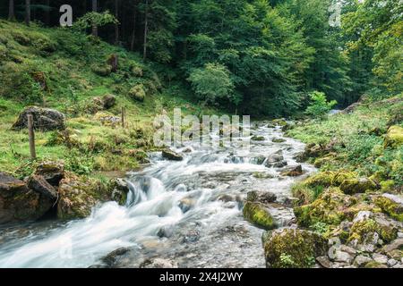 Splendido ruscello a cascata che scorre nella foresta profonda durante l'estate al parco nazionale Foto Stock