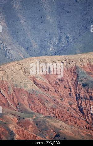 Terreno ruvido motivi intricati tonalità rosse profonde canyon roccioso. Erosione naturale scavata in un paesaggio mozzafiato. La luce e l'ombra accentuano le fessure e i picchi, meraviglia geologica dell'ambiente arido Foto Stock
