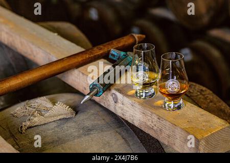 Due bicchieri di whisky e bung trestrazione presso il magazzino della distilleria Kilchoman , Islay, Scozia Foto Stock