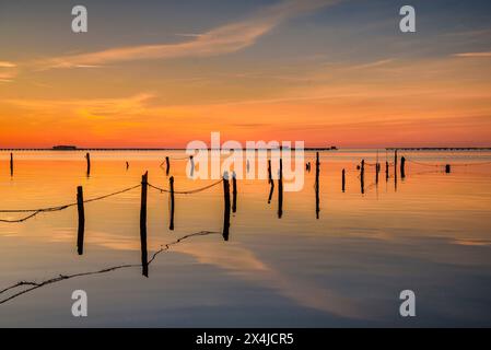 Alba invernale nella baia di Alfacs, nel Delta dell'Ebro, con mare calmo e allevamento di cozze sullo sfondo (Tarragona, Catalogna, Spagna) Foto Stock