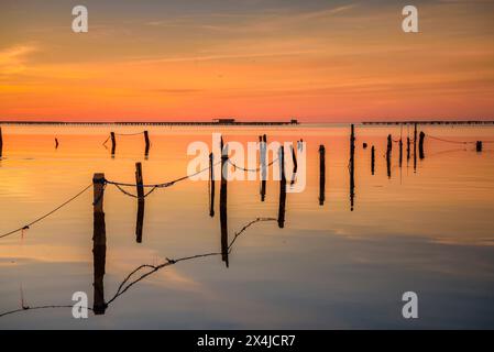 Alba invernale nella baia di Alfacs, nel Delta dell'Ebro, con mare calmo e allevamento di cozze sullo sfondo (Tarragona, Catalogna, Spagna) Foto Stock