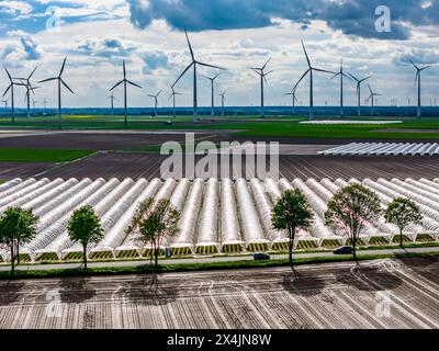 Landwirtschaft, großen Flächen mit Folientunnel, für den Anbau von Erdbeeren, frisch bestellte Felder, Windpark, südlich von Lövenich, gehört zu Erkelenz, im Kreis Heinsberg, Folientunnel *** Agricoltura, vaste zone con tunnel laminare, per la coltivazione di fragole, campi appena coltivati, parco eolico, a sud di Lövenich, appartiene a Erkelenz, nel quartiere di Heinsberg, il tunnel della lamina Foto Stock