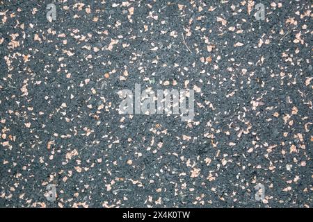 nuovo concetto di inizio. linea di partenza bianca. le voci iniziano su una pista da corsa in uno stadio. vista dall'alto. Foto Stock