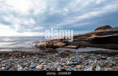 Driftwood si è immersa sulla costa ghiaia di una tranquilla gita di pesca di un giorno nuvolosa sul lago Foto Stock