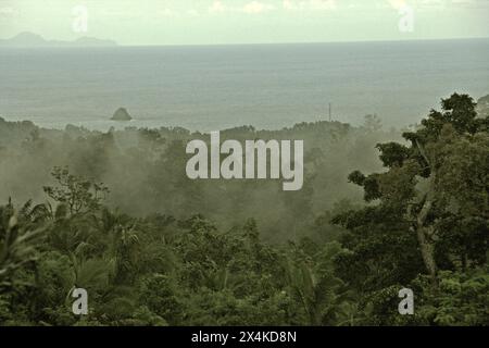 La foresta di pianura sullo sfondo del mare è fotografata da un'area vegetata vicino al Monte Tangkoko e al Monte Duasudara (Dua Saudara) a Bitung, Sulawesi settentrionale, Indonesia. Collegato alla riserva naturale di Tangkoko, questo paesaggio protegge la biodiversità, ma il cambiamento climatico è minaccioso a un ritmo allarmante. La foresta di Tangkoko soffre attualmente di un aumento della temperatura fino a 0,2 gradi Celsius all'anno, come riportato da un team di primatologi guidati da Marine Joly, con anche l'abbondanza complessiva di frutta è diminuita. L'Unione Internazionale per la conservazione della natura (IUCN) dice che le temperature in aumento... Foto Stock