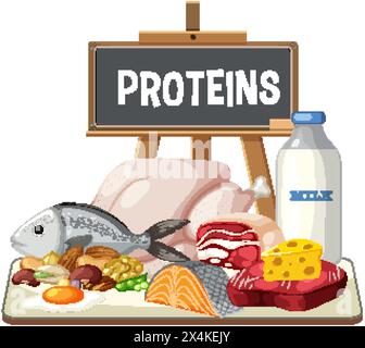 Illustrazione di diversi alimenti ricchi di proteine su un tavolo. Illustrazione Vettoriale