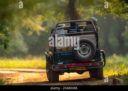 Parco nazionale di ranthambore, Rajasthan, India - 29 ottobre 2023 - Safari nella giungla faunistica, safari tra gli zingari da parte di turisti o viaggiatori su strade o percorsi panoramici Foto Stock