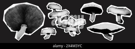 Elementi collage di tendenza creano un'illustrazione vettoriale dei funghi mezzitoni Illustrazione Vettoriale