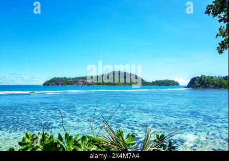 L'isola Thérèse è una piccola isola sulla costa occidentale di Mahé nelle Seychelles. Foto Stock