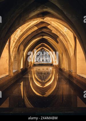 Bagni di Lady María de Padilla nelle cantine del Real Alcazar de Seville, Andalusia, Spagna Foto Stock