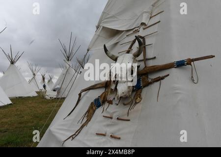 Die Indian Week des Indianistikbundes findet am Kummerower SEE statt. Dabei gibt es viele intressante Sachen zu sehen, wie diese Zeltwand mit einem Rinderkopf. *** La settimana indiana dell'Indianistikbund si svolge al Kummerower SEE ci sono molte cose interessanti da vedere, come questo muro di tenda con una testa di bestiame Foto Stock