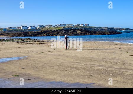 Nuotatore di prima mattina, Trearddur Bay, Beach, Anglesey, Galles del Nord, REGNO UNITO Foto Stock