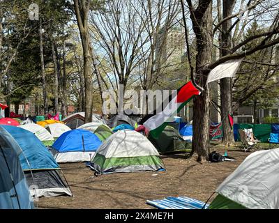 Ottawa, Canada. 3 maggio 2024. Decine di tende di manifestanti filo-palestinesi sono viste in un accampamento di fronte alla Tabaret Hall presso l'Università di Ottawa a Ottawa, Canada, il 3 maggio 2024. Crediti: Min Chen/Xinhua/Alamy Live News Foto Stock