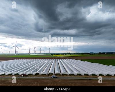 L'agricoltura, vaste aree con tunnel di lamina, per la coltivazione di fragole, campi appena coltivati, parco eolico, a sud di Lövenich, appartiene a er Foto Stock