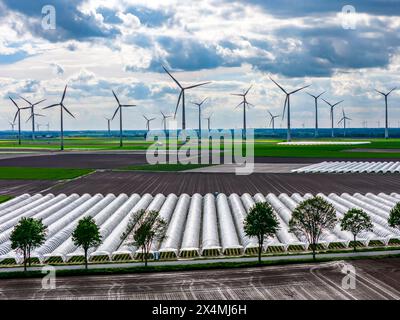 L'agricoltura, vaste aree con tunnel di lamina, per la coltivazione di fragole, campi appena coltivati, parco eolico, a sud di Lövenich, appartiene a er Foto Stock