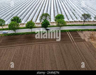 L'agricoltura, vaste aree con tunnel di alluminio, per la coltivazione di fragole, campi appena coltivati, a sud di Lövenich, appartiene a Erkelenz, in Foto Stock