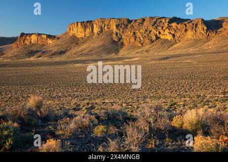 Deserto, Sheldon National Wildlife Refuge, Nevada Foto Stock