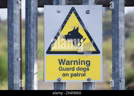 Cani da guardia sul cartello di avvertimento della pattuglia sul recinto di sicurezza del cantiere Foto Stock