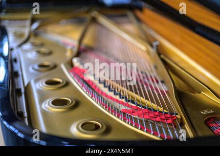 Dettaglio delle corde e della cornice all'interno di un pianoforte a coda Steinway, che mostra la maestria artigianale. Foto Stock