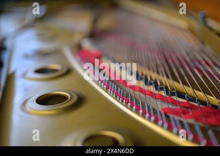 Dettaglio delle corde e della cornice all'interno di un pianoforte a coda Steinway, che mostra la maestria artigianale. Foto Stock