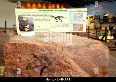 Percorso dei dinosauri di Eubrontes, sito di scoperta dei dinosauri di St. George presso Johnson Farm, St. George, Utah Foto Stock