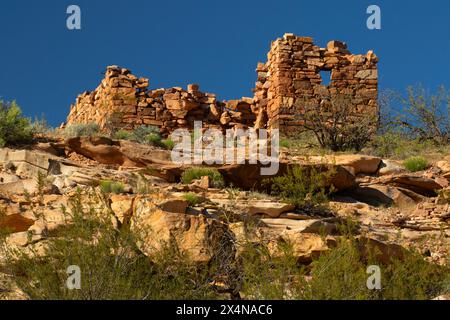 Fort Roads, Fort Pearce Historic Site, St. George Bureau of Land Management, Utah Foto Stock