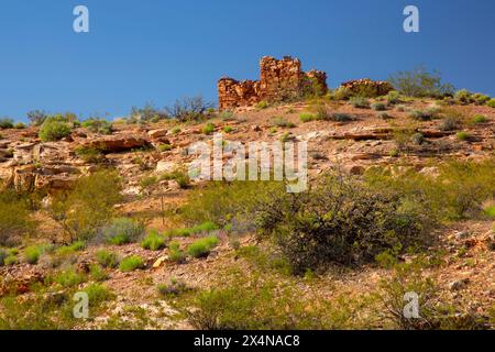 Fort Roads, Fort Pearce Historic Site, St. George Bureau of Land Management, Utah Foto Stock