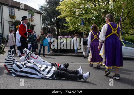 4 maggio 2024. Il Guildford Summerpole Festival si è svolto oggi nel centro della città. L'evento annuale gestito dai ballerini Guildford Pilgrim Morris prevede una processione fino alla High Street, esibizioni di morris danzanti da diversi gruppi, seguite dall'erigere il palo estivo (invece di un tradizionale maypole) nei terreni del castello di Guildford e ulteriori danze. Foto Stock