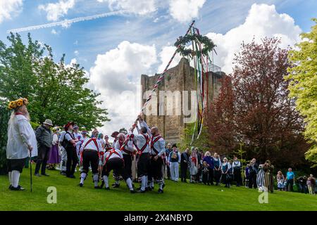 4 maggio 2024. Il Guildford Summerpole Festival si è svolto oggi nel centro della città, un'usanza tradizionale del folclore inglese per celebrare il giorno di maggio e dare il benvenuto in estate. L'evento annuale gestito dai ballerini Guildford Pilgrim Morris prevede una processione fino alla High Street, esibizioni di morris danzanti da diversi gruppi di danza morris, seguite dall'erigere il palo estivo (invece di un tradizionale maypole) nei terreni del castello di Guildford, e ulteriori danze. Foto Stock