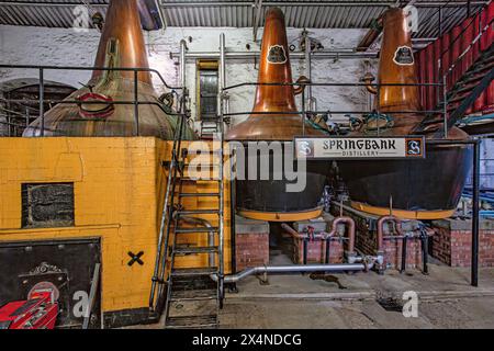 Distilleria Springbank Still House , Campbeltown, Scozia, Regno Unito Foto Stock