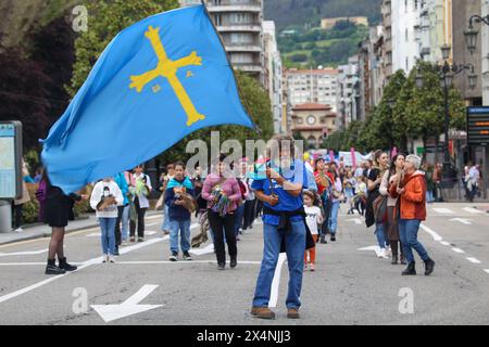 Oviedo, Spagna, 4 maggio 2024: Un uomo batte la bandiera delle Asturie durante la dimostrazione per Officialidá, il 4 maggio 2024, a Oviedo, Spagna. Crediti: Alberto Brevers / Alamy Live News. Foto Stock