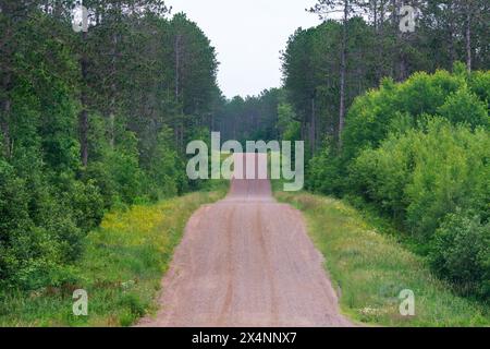 Una strada sterrata rurale attraversa la foresta dei northwoods del Wisconsin. Foto Stock