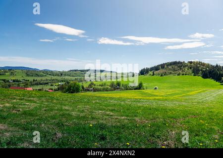 Grassy Field con Hill sullo sfondo Foto Stock