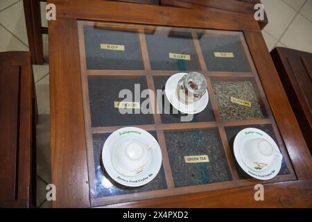 Geragama Estate Rd, Pilimathalawa, Sri Lanka. 10.02.23 l'interno di una fabbrica di tè. Macchine per asciugare e selezionare le foglie di tè Foto Stock