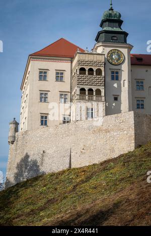 Pieskowa Skała (roccia del piccolo cane) è una scogliera calcarea nella valle del fiume Prądnik, in Polonia, meglio conosciuta per il suo castello rinascimentale. Foto Stock