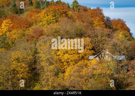 Parco nazionale di Ojcow, Polonia, visto dal punto di vista di Jonaszówka Foto Stock