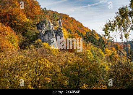 Parco nazionale di Ojcow, Polonia, visto dal punto di vista di Jonaszówka Foto Stock