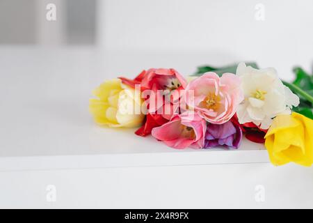 Colorato assortimento di tulipani Foto Stock