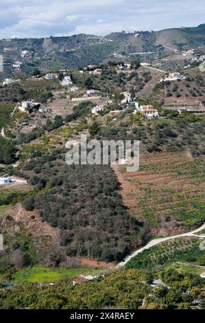 Frutteti e campi terrazzati si estendono sotto e oltre il "Villaggio bianco" di Frigiliana nella regione Axarquia dell'Andalusia, Spagna Foto Stock