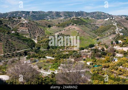 Frutteti e campi terrazzati si estendono sotto e oltre il "Villaggio bianco" di Frigiliana nella regione Axarquia dell'Andalusia, Spagna Foto Stock