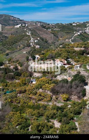 Frutteti e campi terrazzati si estendono sotto e oltre il "Villaggio bianco" di Frigiliana nella regione Axarquia dell'Andalusia, Spagna Foto Stock
