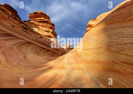 Southern Wave a South Coyote Buttes a Paria Canyon, Vermilion Cliffs National Monument, Arizona, USA Foto Stock