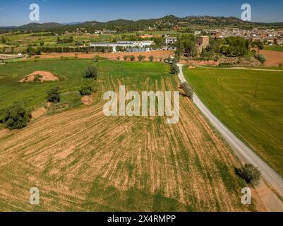Vista aerea dei campi coltivati in una sorgente secca a Pla de Bages (Barcellona, ​​Catalonia, Spagna) ESP: Vista aérea de campos de cultivo en primavera Foto Stock