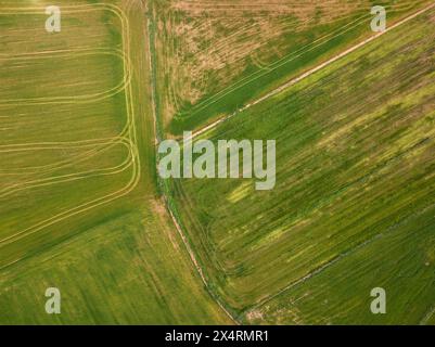 Vista aerea dei campi coltivati in una sorgente secca a Pla de Bages (Barcellona, ​​Catalonia, Spagna) ESP: Vista aérea de campos de cultivo en primavera Foto Stock