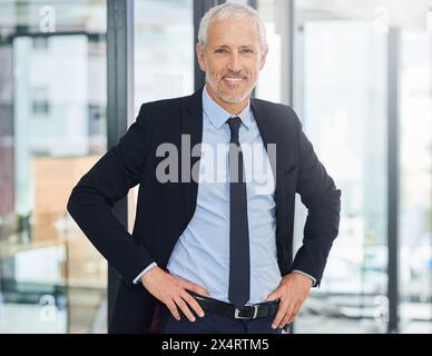Uomo d'affari maturo e ritratto del ceo in carica con fiducia come capo di una società di investimento aziendale, professionista, imprenditore ed esperto Foto Stock