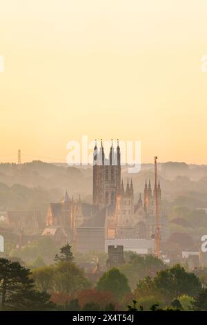 Teleobiettivo della cattedrale di Canterbury illuminata dall'alba (invisibile) nelle prime ore del mattino, in una mattina primaverile. Cattedrale circondata da bassi edifici. Foto Stock