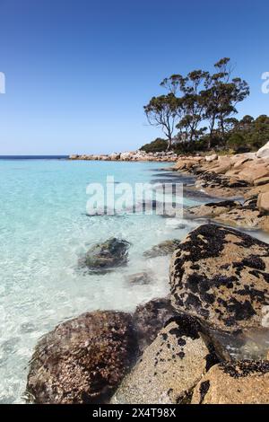 Binalong Bay in Tasmania si trova nella regione Bay of Fires sulla costa orientale. Spiagge e baie rocciose come questa sono un'attrazione spettacolare. Foto Stock