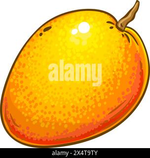 Illustrazione dettagliata colorata dei frutti di mango. Illustrazione Vettoriale